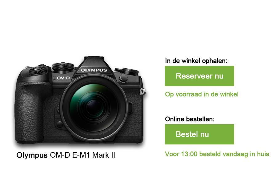 webshop-voorbeeld-2
